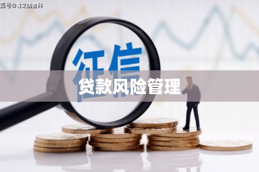 布袋贷款风险管理