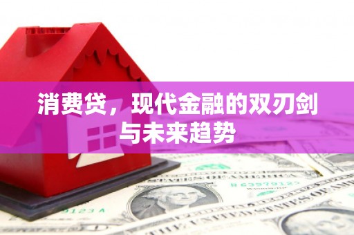 布袋消费贷，现代金融的双刃剑与未来趋势