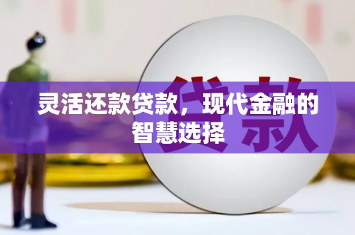 布袋灵活还款贷款，现代金融的智慧选择