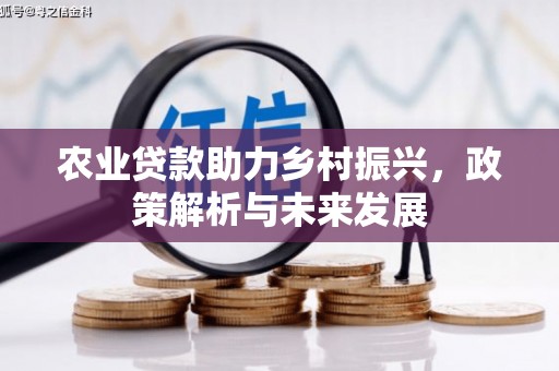 布袋农业贷款助力乡村振兴，政策解析与未来发展