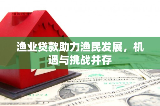 布袋渔业贷款助力渔民发展，机遇与挑战并存