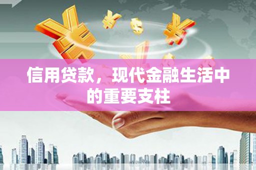 布袋信用贷款，现代金融生活中的重要支柱