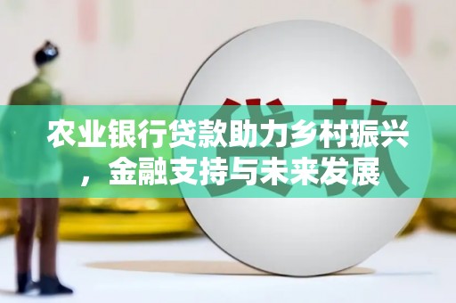 布袋农业银行贷款助力乡村振兴，金融支持与未来发展
