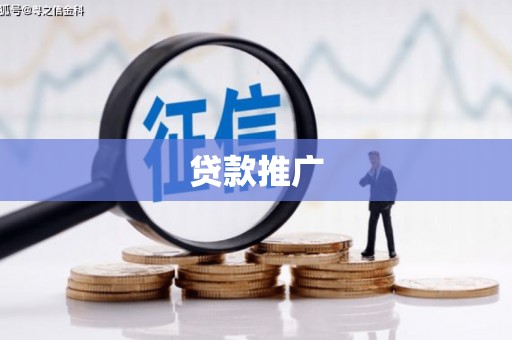 布袋贷款推广