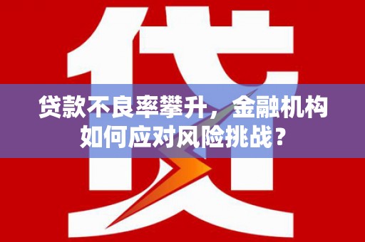 布袋贷款不良率攀升，金融机构如何应对风险挑战？