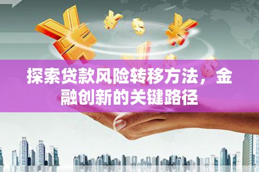 布袋探索贷款风险转移方法，金融创新的关键路径