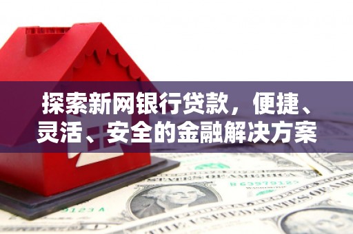 布袋探索新网银行贷款，便捷、灵活、安全的金融解决方案