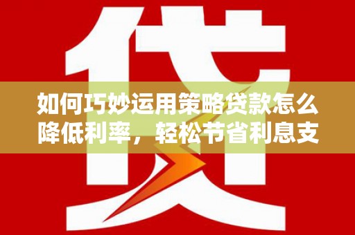 布袋如何巧妙运用策略贷款怎么降低利率，轻松节省利息支出