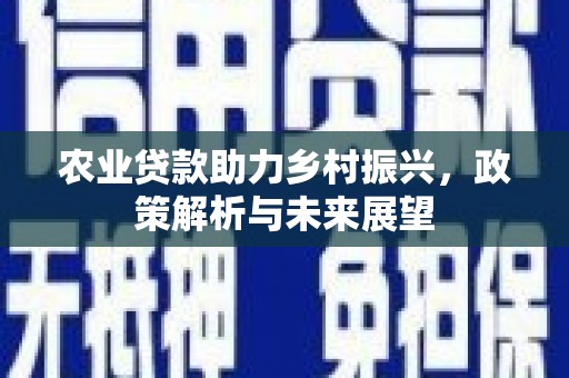 布袋农业贷款助力乡村振兴，政策解析与未来展望