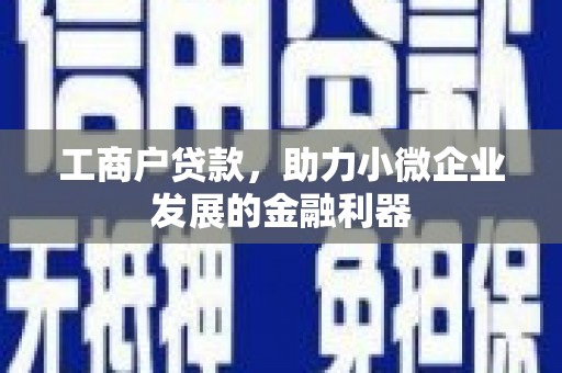 布袋工商户贷款，助力小微企业发展的金融利器