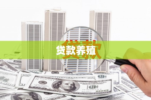 布袋贷款养殖