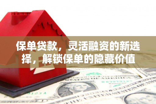 布袋保单贷款，灵活融资的新选择，解锁保单的隐藏价值