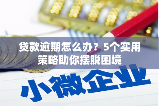 布袋贷款逾期怎么办？5个实用策略助你摆脱困境