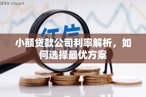布袋小额贷款公司利率解析，如何选择最优方案