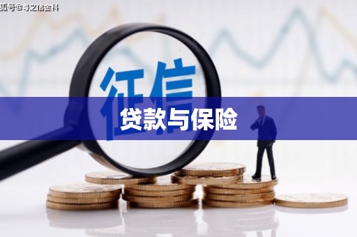 布袋贷款与保险