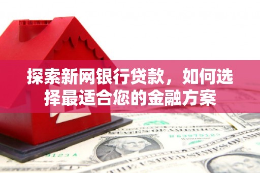 布袋探索新网银行贷款，如何选择最适合您的金融方案