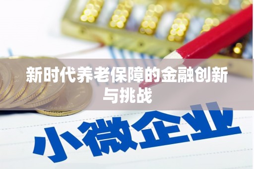 布袋新时代养老保障的金融创新与挑战