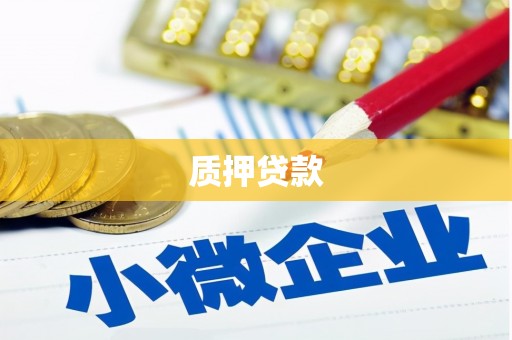 布袋质押贷款