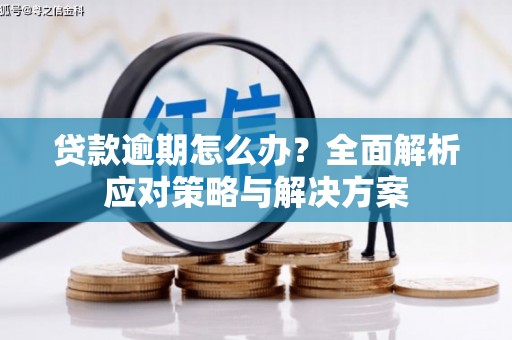布袋贷款逾期怎么办？全面解析应对策略与解决方案