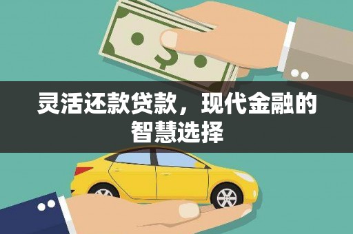 布袋灵活还款贷款，现代金融的智慧选择