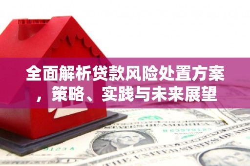 布袋全面解析贷款风险处置方案，策略、实践与未来展望