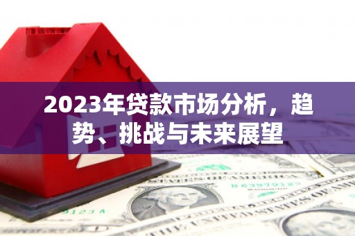 布袋2023年贷款市场分析，趋势、挑战与未来展望