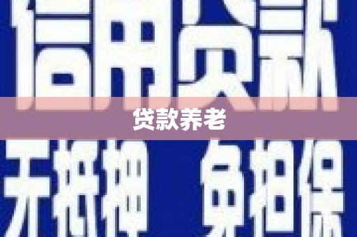 布袋贷款养老