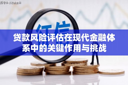 布袋贷款风险评估在现代金融体系中的关键作用与挑战