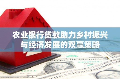布袋农业银行贷款助力乡村振兴与经济发展的双赢策略
