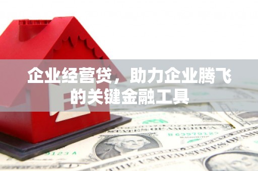 布袋企业经营贷，助力企业腾飞的关键金融工具