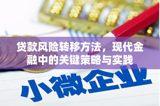 布袋贷款风险转移方法，现代金融中的关键策略与实践