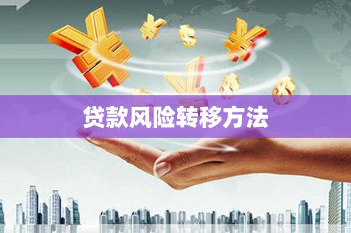 布袋贷款风险转移方法