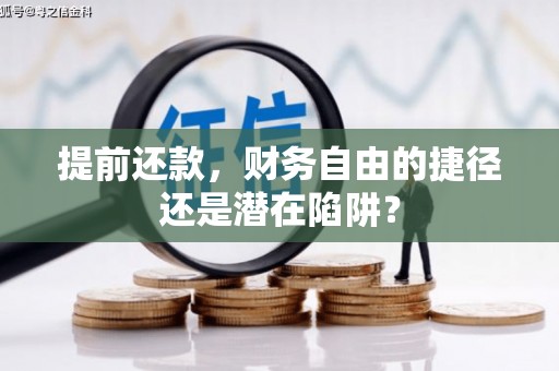 布袋提前还款，财务自由的捷径还是潜在陷阱？