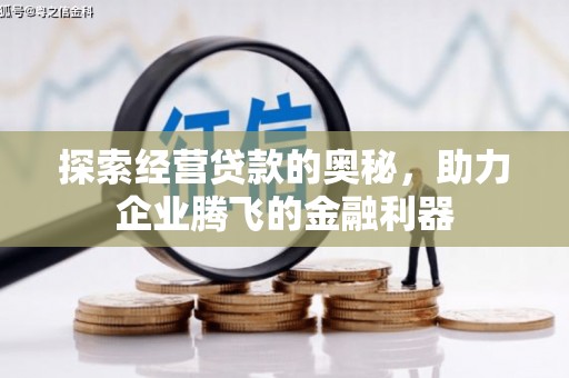 布袋探索经营贷款的奥秘，助力企业腾飞的金融利器
