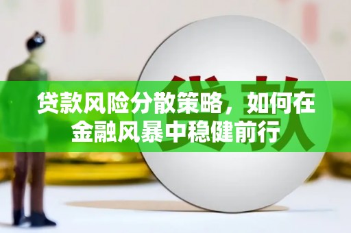 布袋贷款风险分散策略，如何在金融风暴中稳健前行