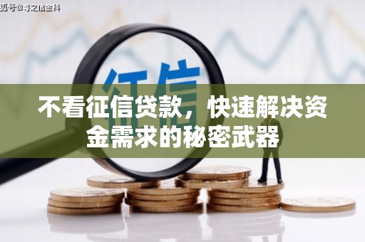 布袋不看征信贷款，快速解决资金需求的秘密武器