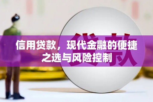布袋信用贷款，现代金融的便捷之选与风险控制
