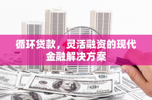 布袋循环贷款，灵活融资的现代金融解决方案