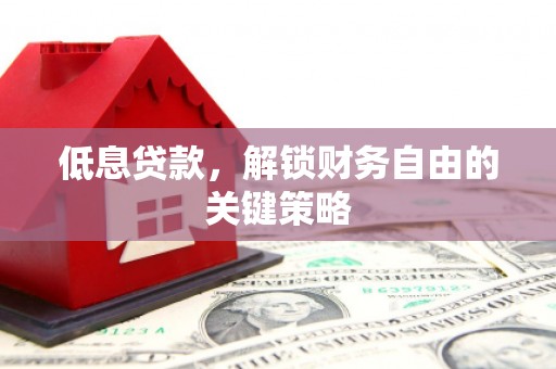 布袋低息贷款，解锁财务自由的关键策略