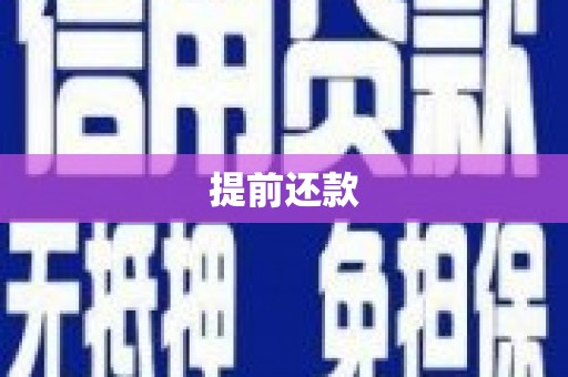 布袋提前还款