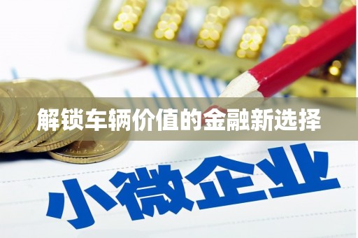 布袋解锁车辆价值的金融新选择