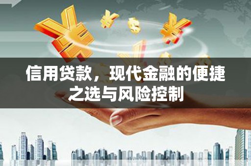 布袋信用贷款，现代金融的便捷之选与风险控制