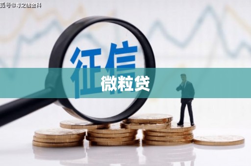布袋微粒贷