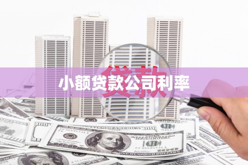 布袋小额贷款公司利率