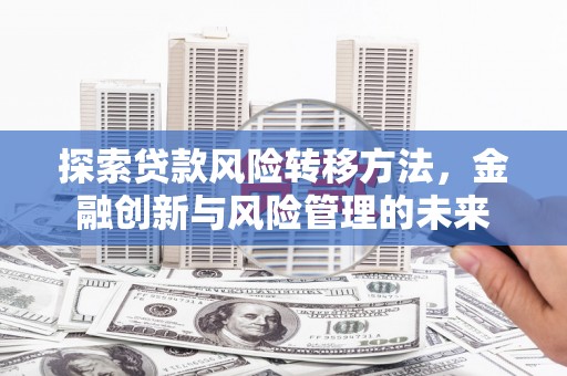 布袋探索贷款风险转移方法，金融创新与风险管理的未来
