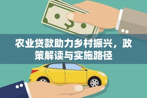布袋农业贷款助力乡村振兴，政策解读与实施路径
