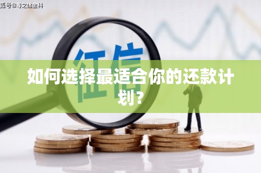 布袋如何选择最适合你的还款计划？