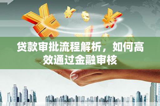 布袋贷款审批流程解析，如何高效通过金融审核