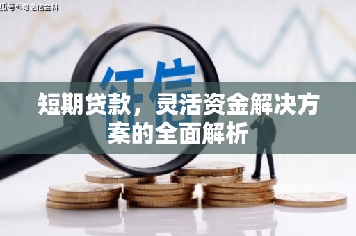 布袋短期贷款，灵活资金解决方案的全面解析