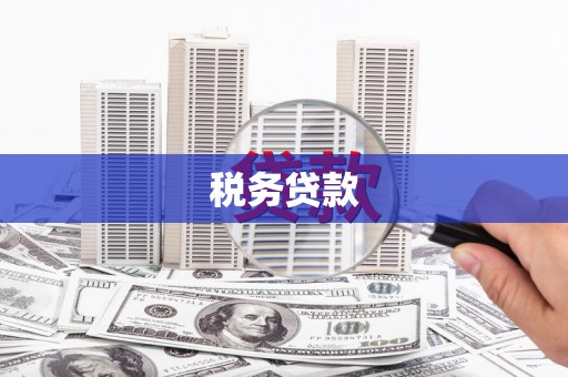 布袋税务贷款